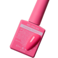 FASHION FUCHSIA